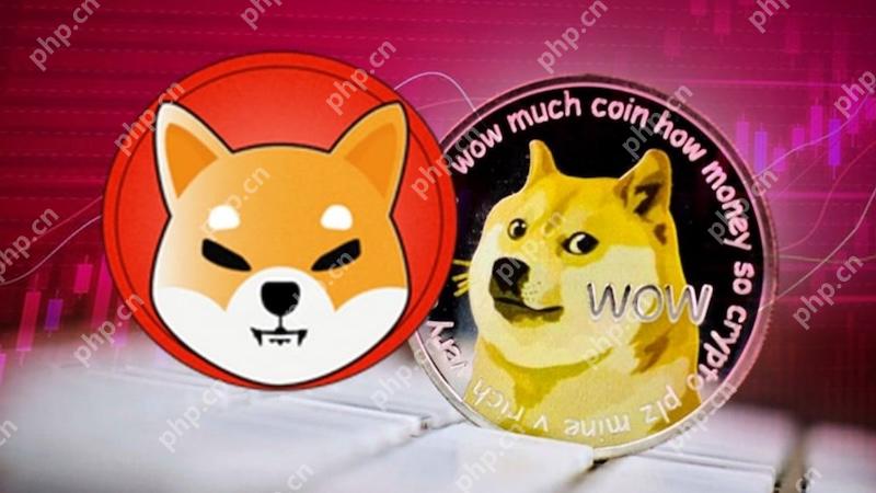 2024年牛市：这5种(MEME)模因币暴涨了100倍！ - php中文网